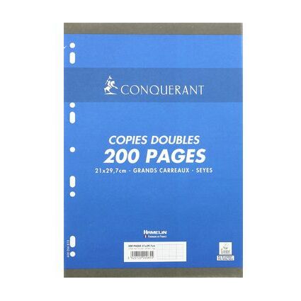 Lot De 2 Copies Doubles A4 Petits Carreaux - 200 Pages - Grammage 70 G - Perforées 9 Trous - Fabriqué En France - 10